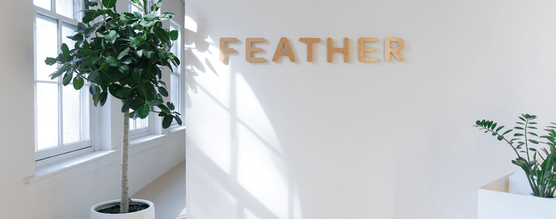 Feather